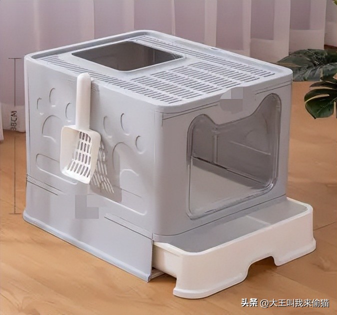 新手养猫猫砂怎么选购,新手养猫猫砂倒在哪里比较好