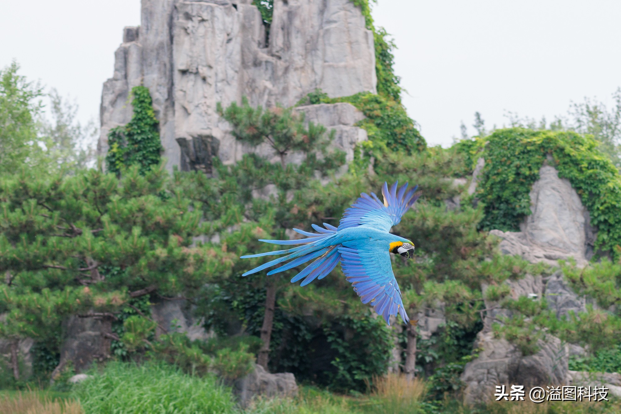 eosr7微单详细测评,佳能r7这款相机真的是值得买吗