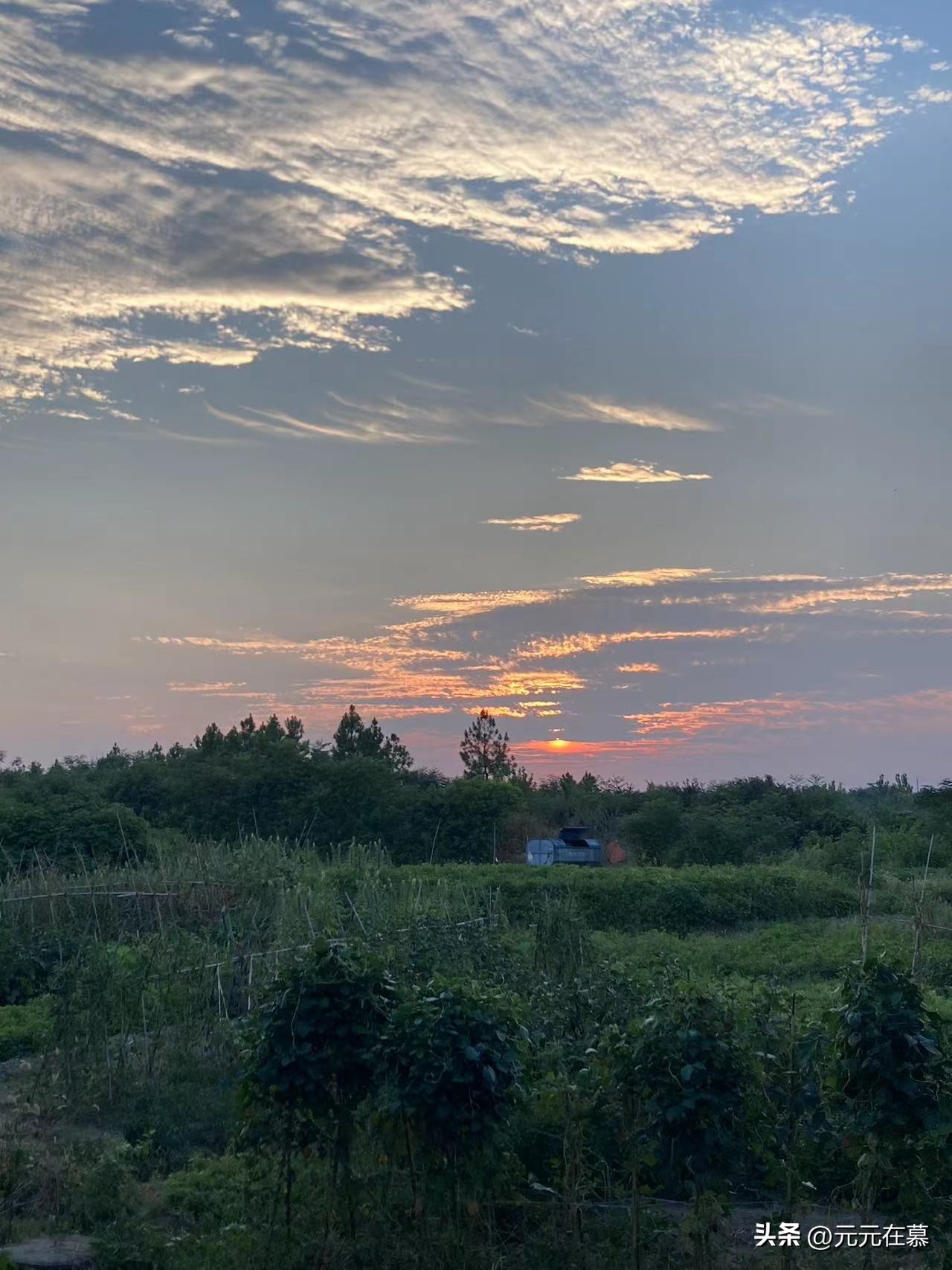 回农村是快乐的吗,回老家度假的快乐