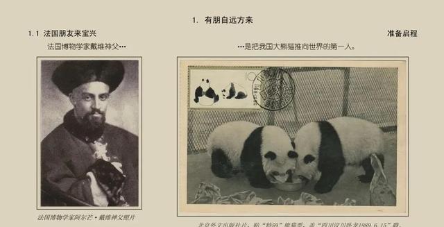 盼盼大熊猫简介,首个中国大熊猫国际形象