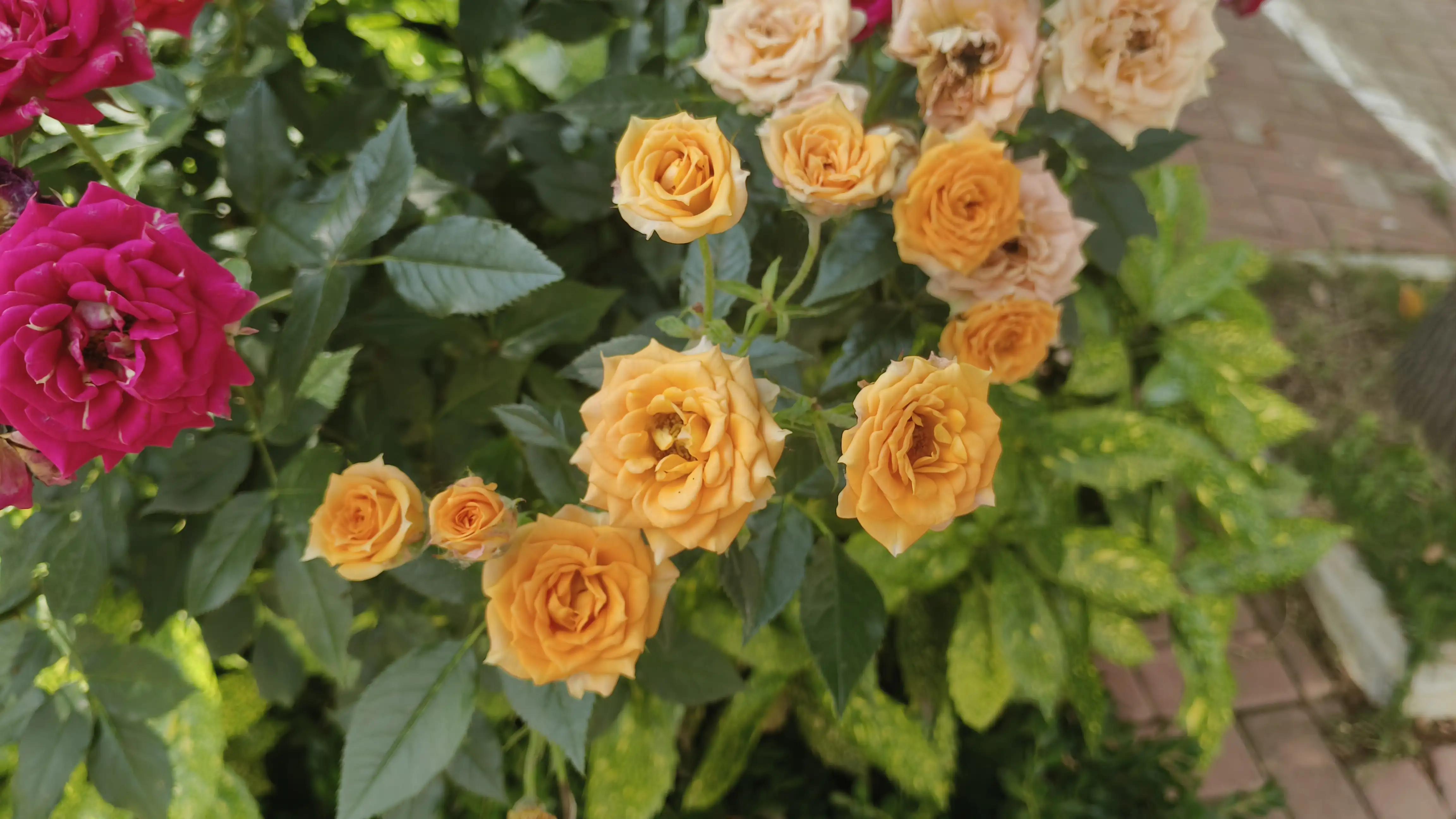 520送什么礼物比较有意义还实用,520送女朋友什么礼物既便宜还体面