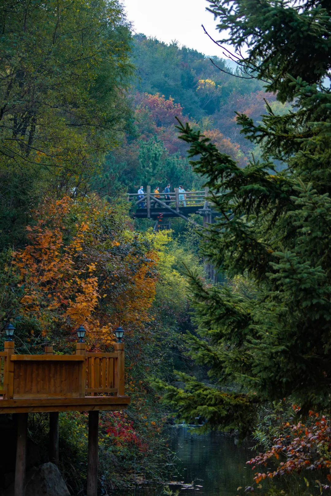 初秋的济南九如山风景秀丽美如画,济南九如山金秋十月