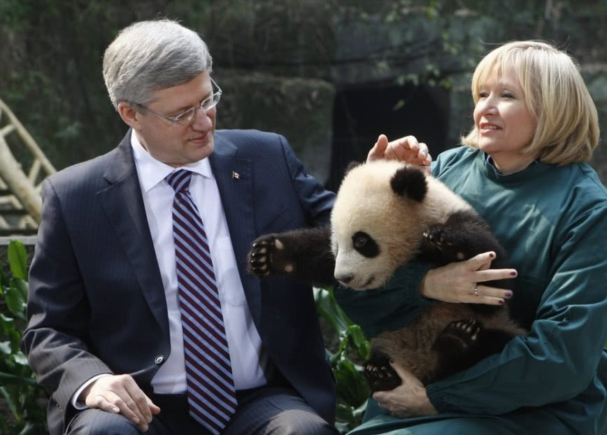 最喜爱大熊猫的前六名国家,世界上最宠大熊猫的6个国家