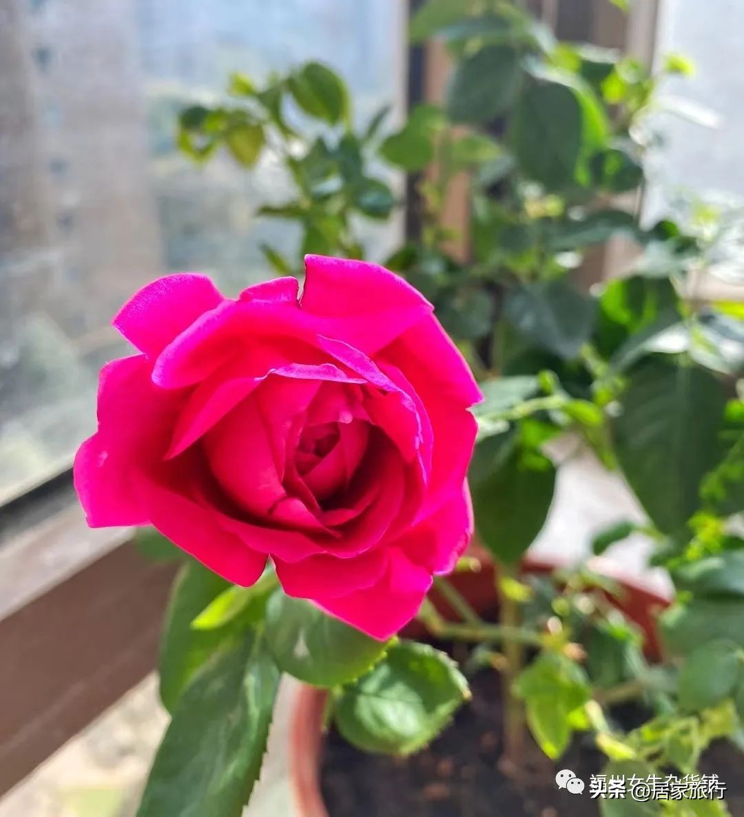 下冬雪,18年下大雪霍邱