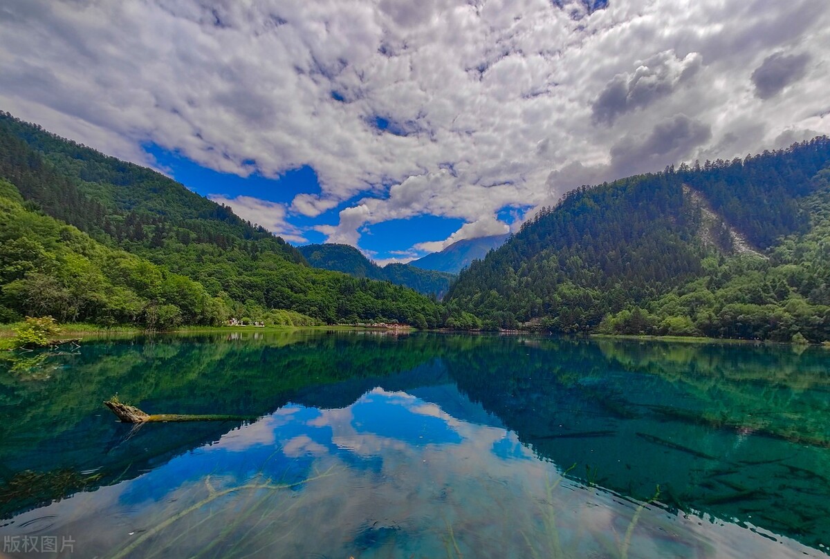 68岁大妈暴打小三,离谱的大妈