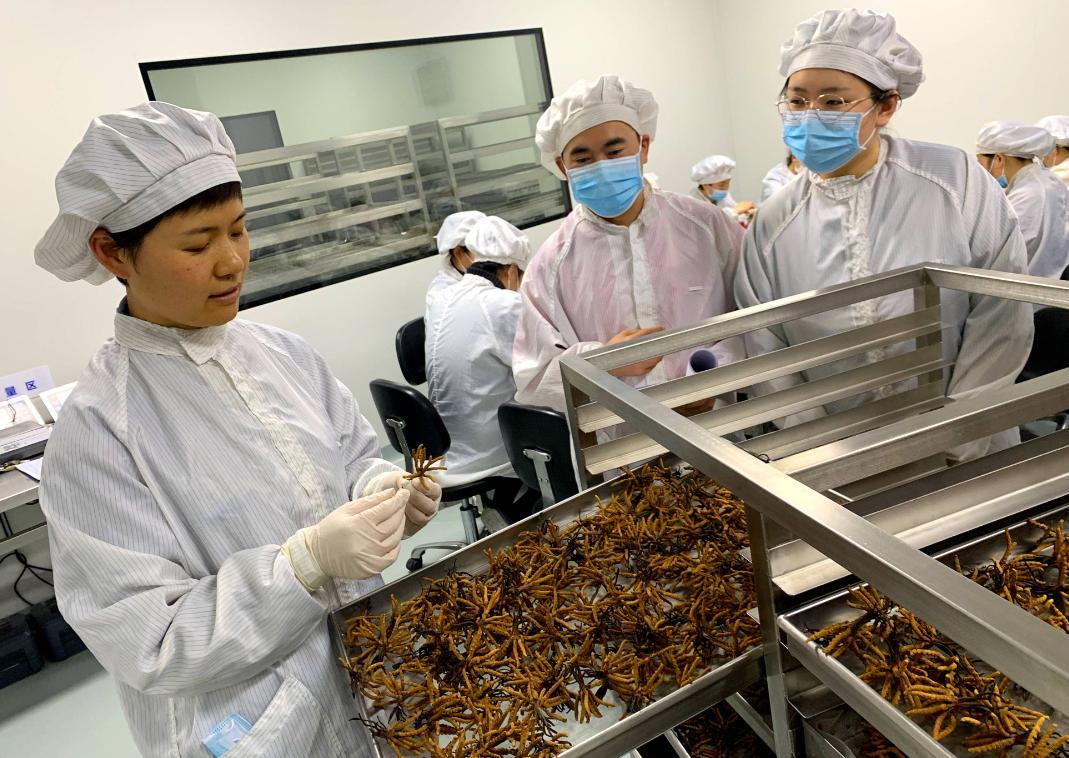 寒热错杂证中医治法怎么说,寒热错杂中医分析