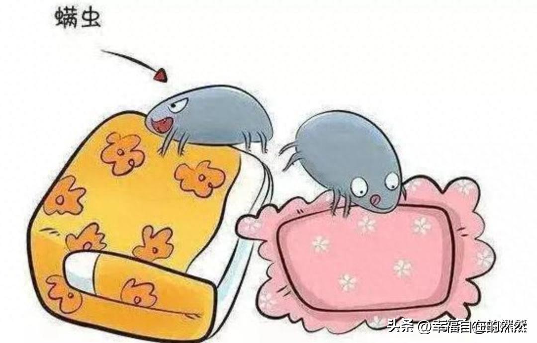 羽绒被太阳晒能杀菌吗,羽绒被洗后晒干有黄渍