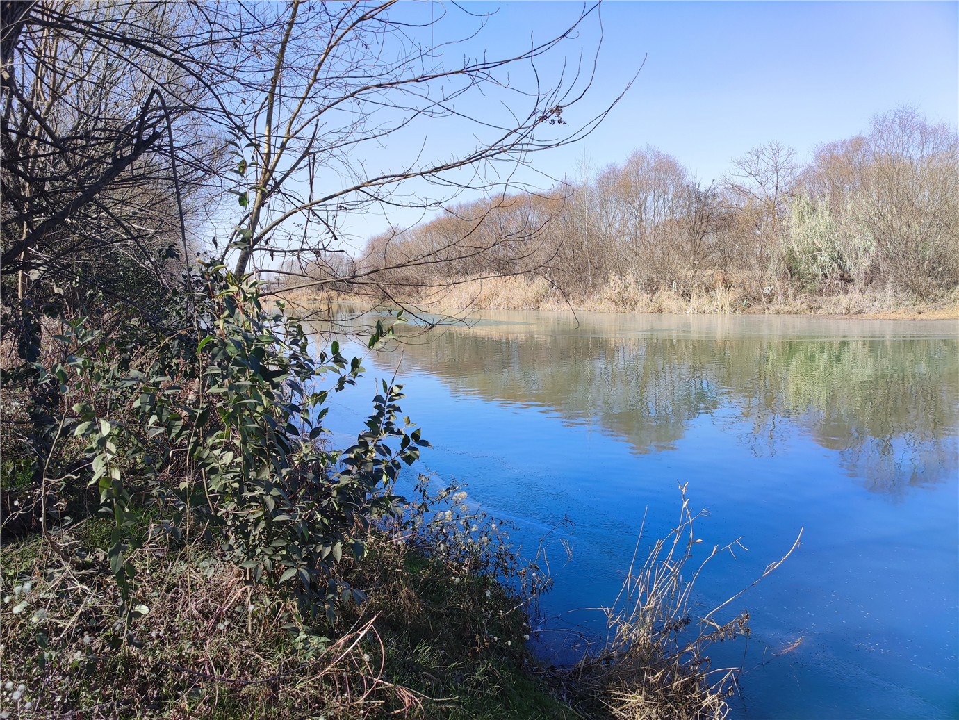西安人工湿地公园,西安最好的湿地公园