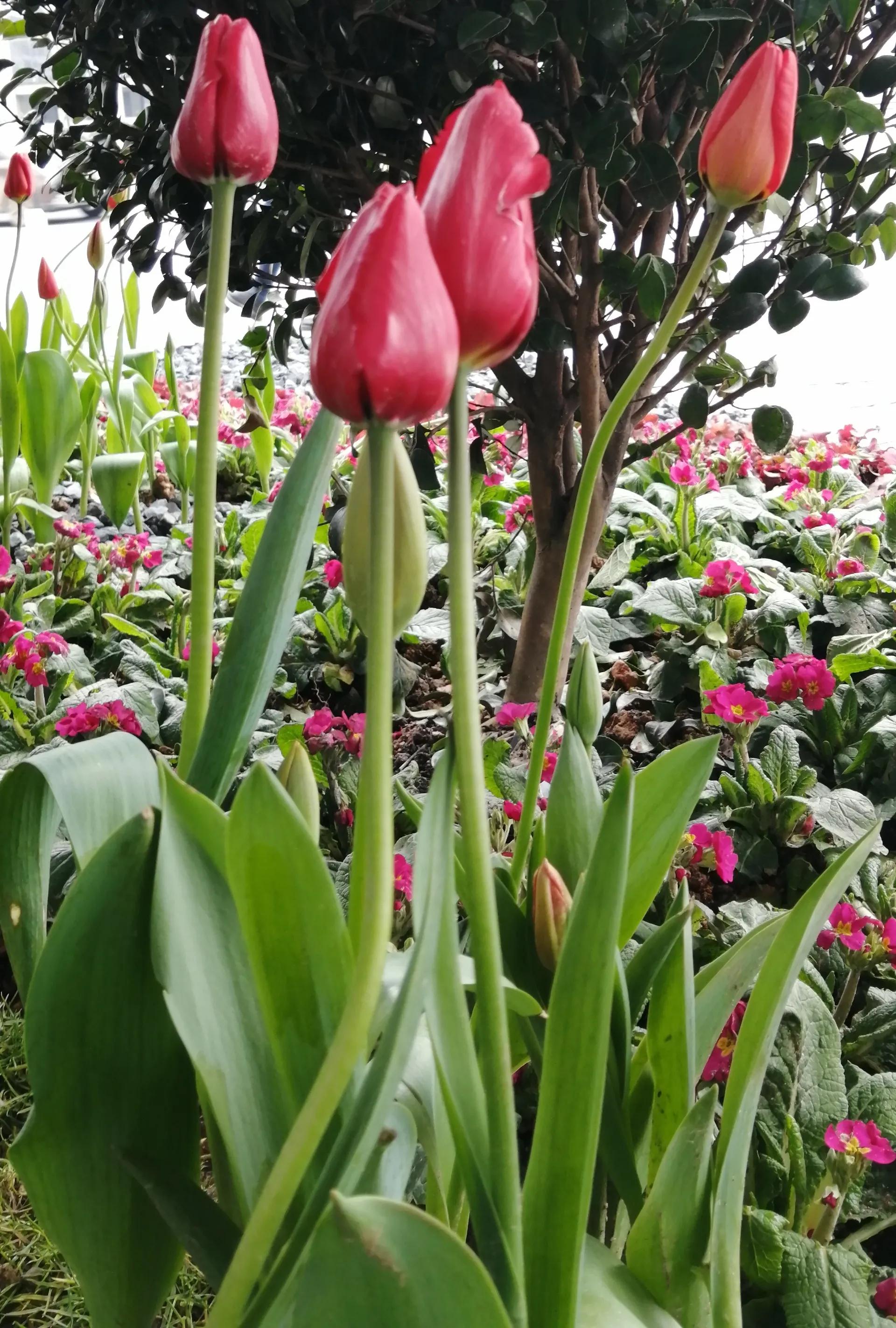 我陪妻子边治病，边旅游，一半痛苦难熬，一半快乐逍遥