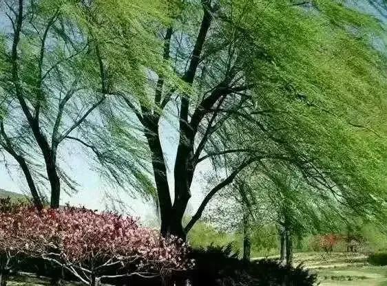 2023年03月03日星期五农历：癸卯年【兔年】二月十二八九第9天