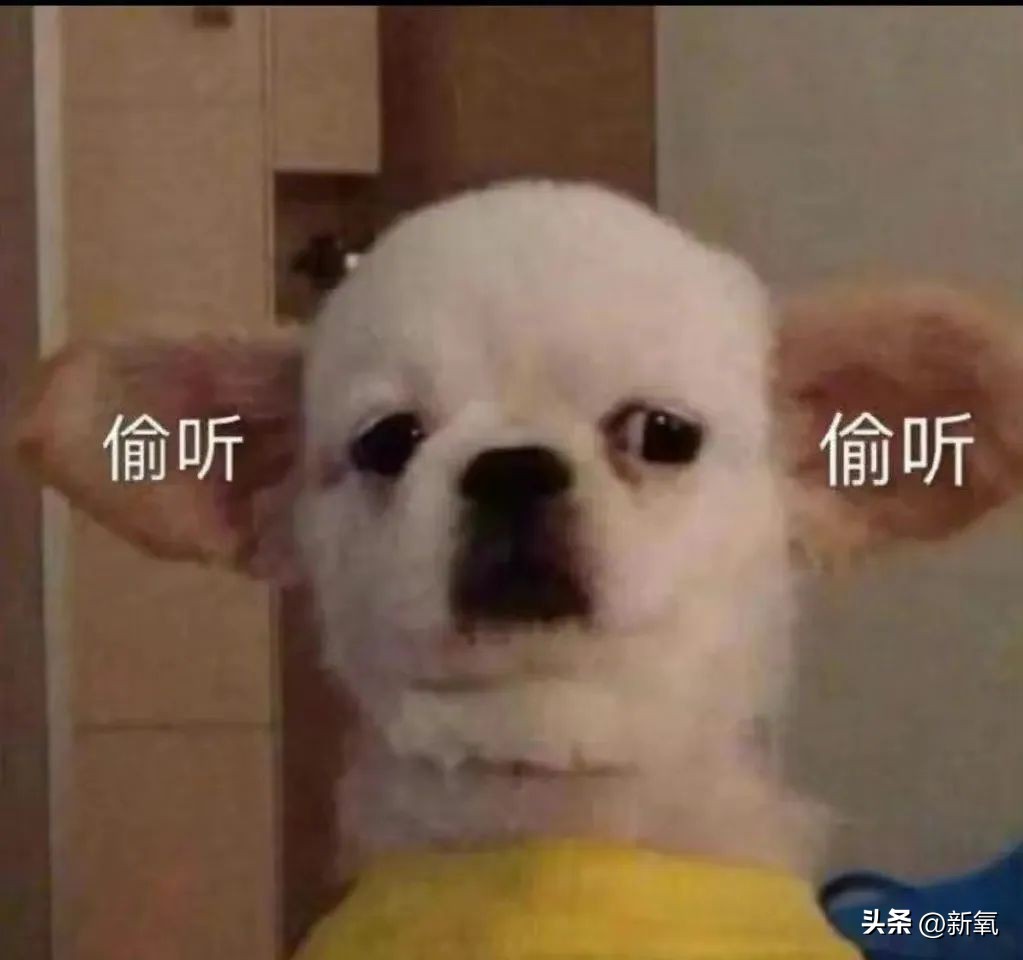 马东锡和芮呈和如何认识的,马东锡和芮呈和合影