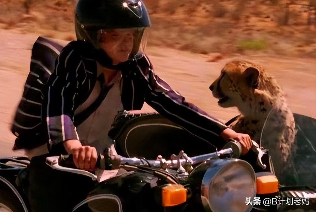 关于动物的英语电影推荐小学生,最好看的英语动物电影