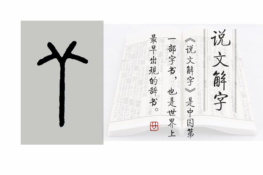 说文解字第461课,说文解字第721课