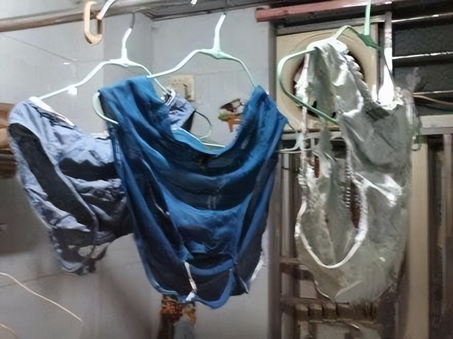 男人的内裤穿多久,男人的内裤穿几个月可以更换一次