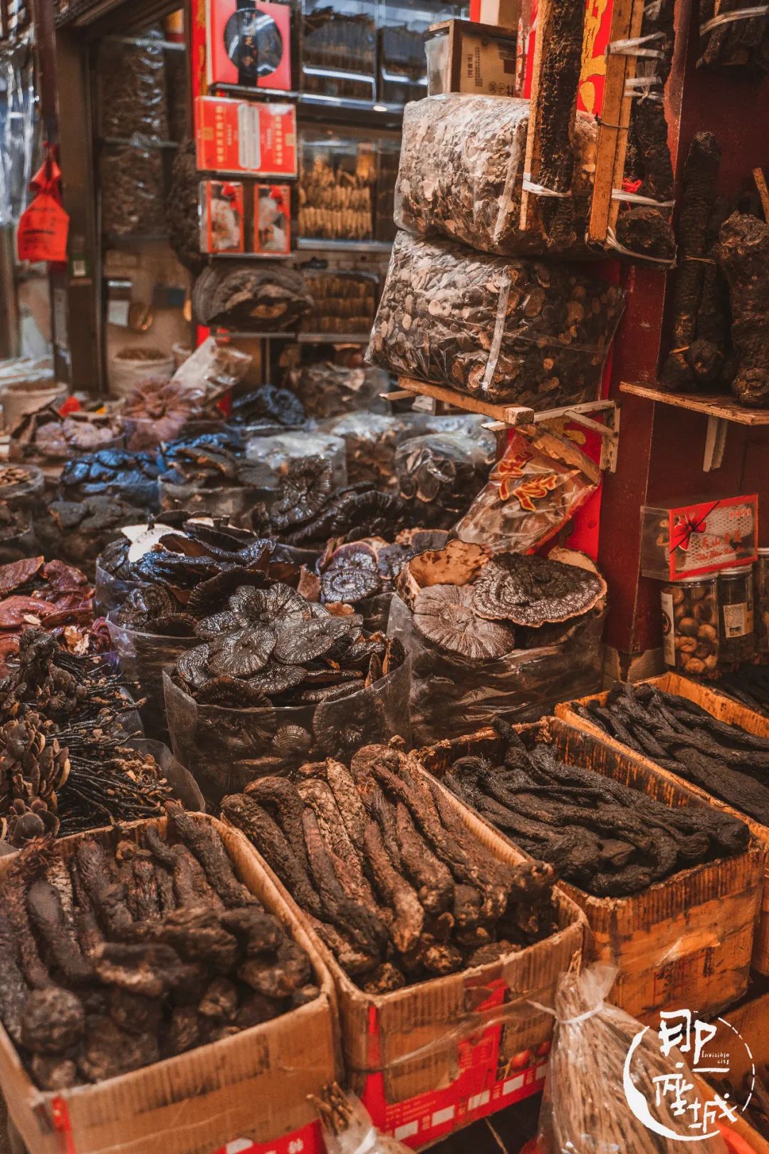 广州本草纲目化妆品,广州药典