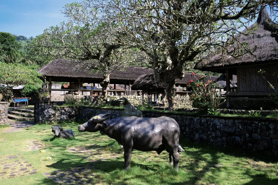 这可能是全球性价比最高的一家阿丽拉