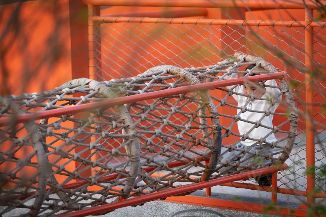 把家弄成游乐园是什么样的,把家打造游乐场是什么体验