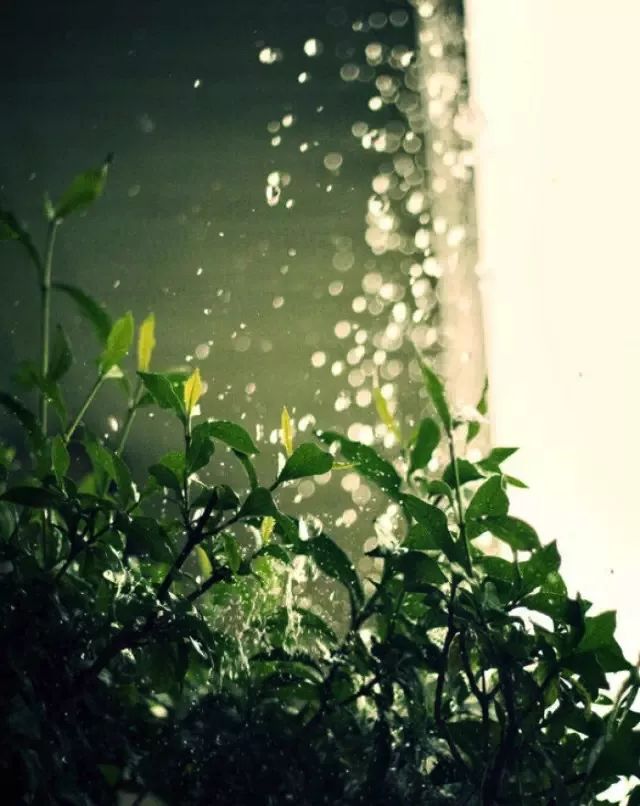 好多人说自己湿气重,怎么感觉自己湿气多