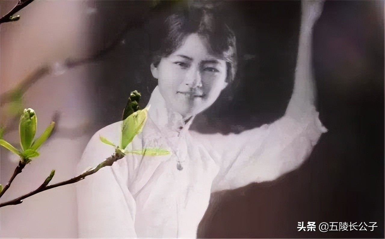 冰心鲁迅钱钟书林徽因,林徽因冰心钱钟书高晓松