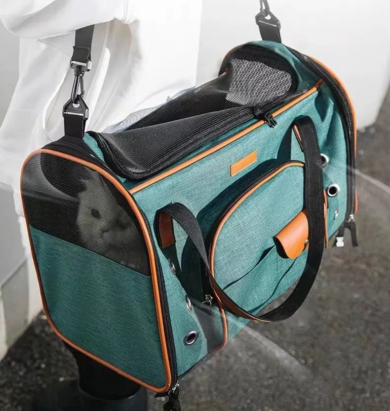 害死猫的网红饰品,盘点那些被人害死的网红猫