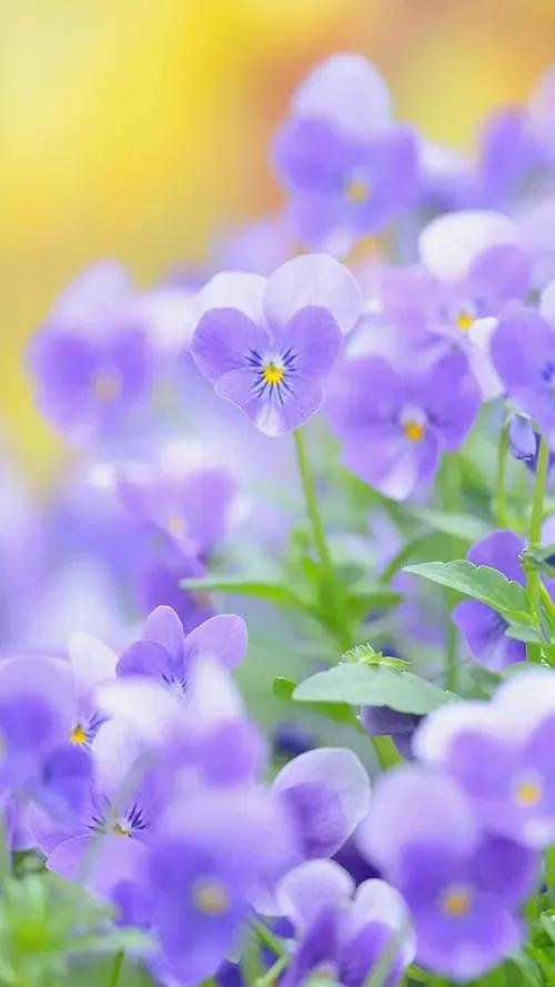 闺蜜小说知乎,闺蜜小说免费阅读