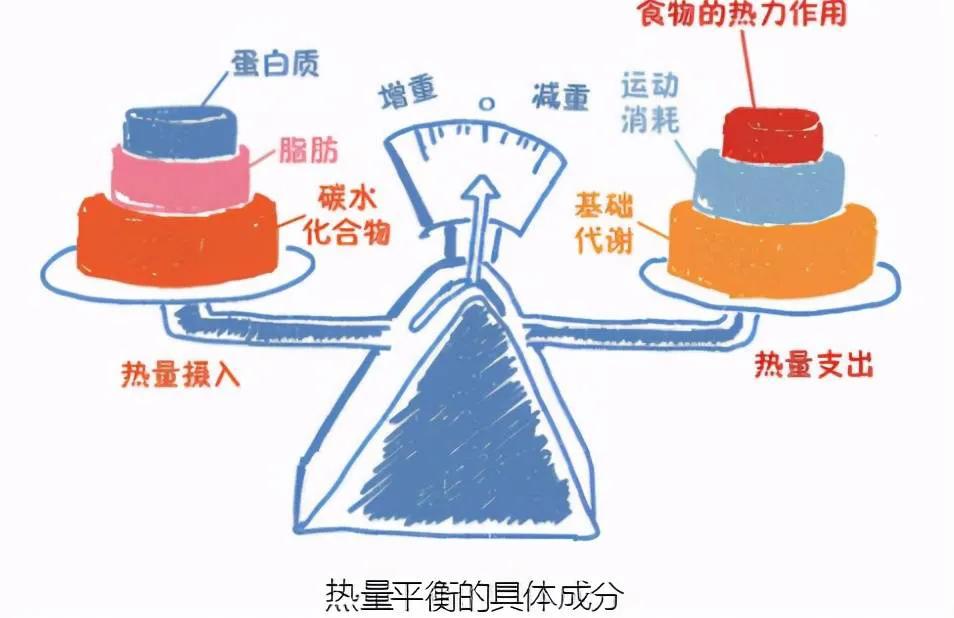 仰卧起坐每天坚持练能练出腹肌吗,每天做100个仰卧起坐多久练出腹肌