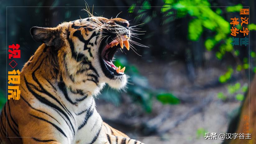 虎年带虎的成语,搜集有关虎年的成语十则