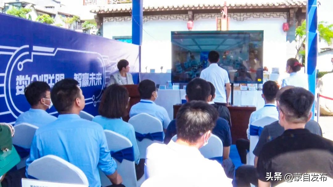 大咖云集蒙自！数创联盟·智赢未来~