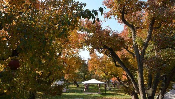 乡村魅力促振兴,皋兰县美丽乡村