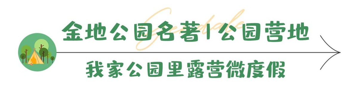 一拍即大片！广州东最新露营打卡地，99%广州人不知道！