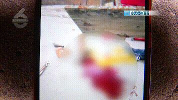 篮球架受伤男孩,痛心5岁男童因高空抛物被砸身亡