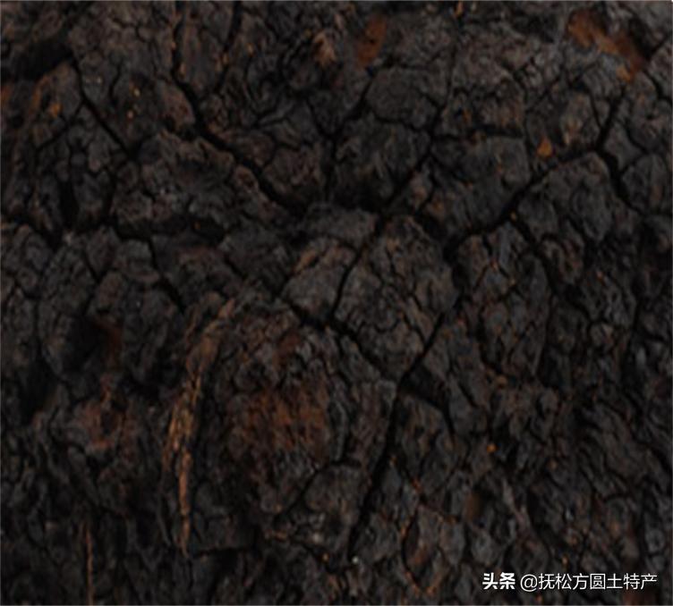 桦树茸危害,桦树茸泡茶