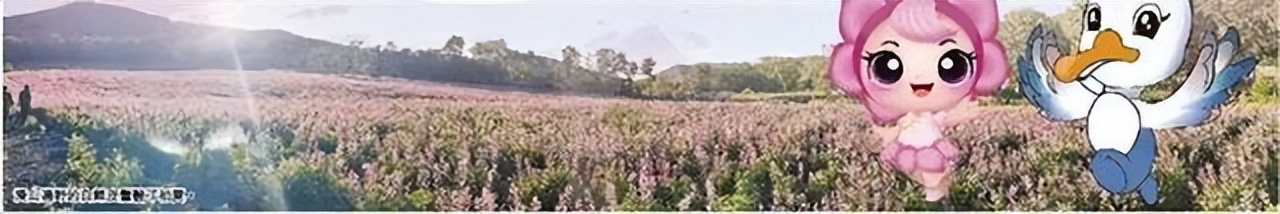 黑龙江宝清：寒地龙药示范县乡村振兴别样红