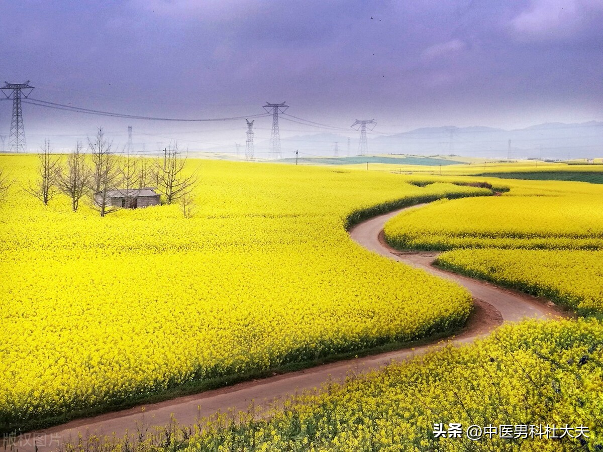 年少伤精过度怎么补救,年少过度透支肾精