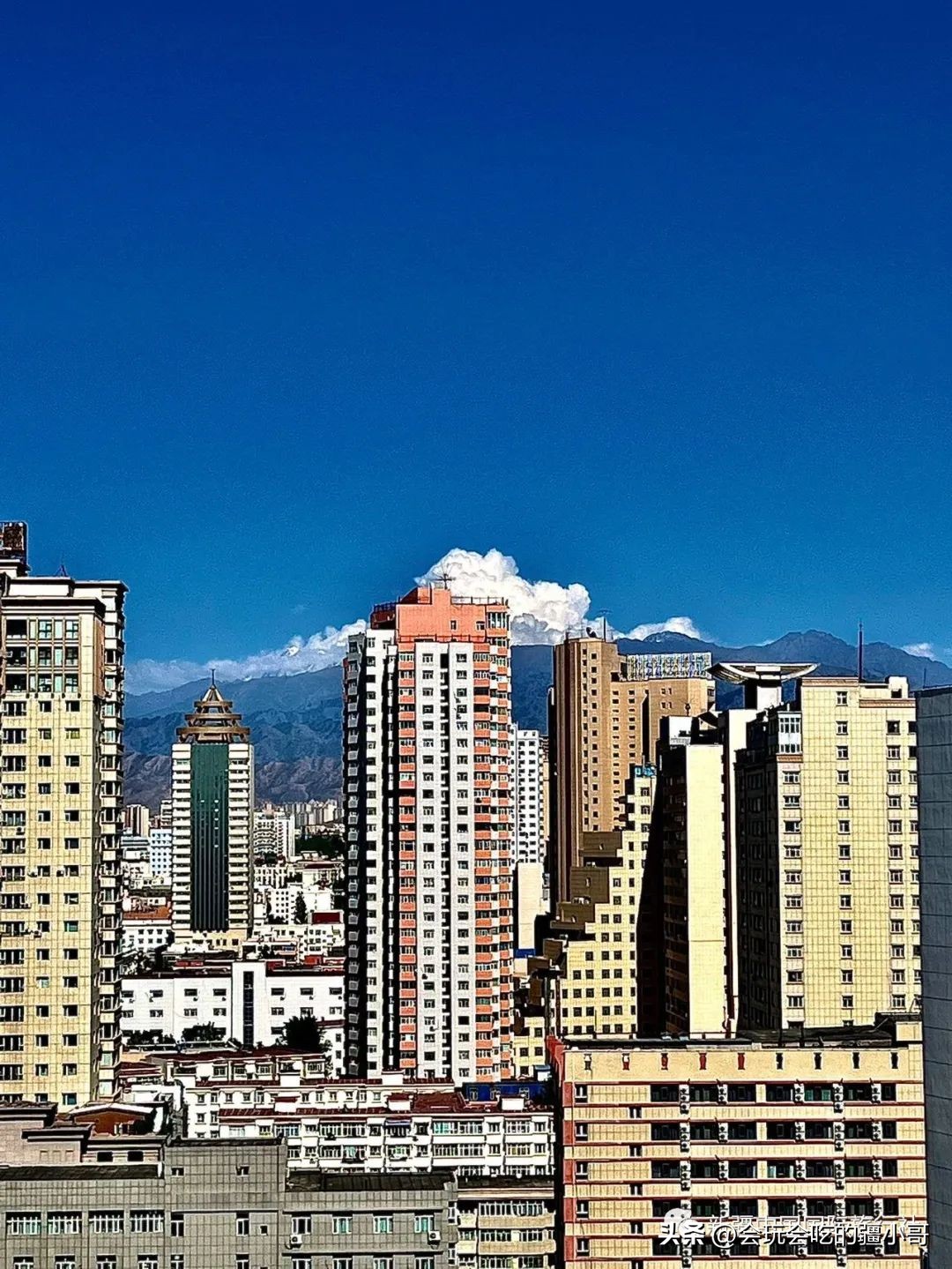 家庭出游7座车,家庭旅游8座车