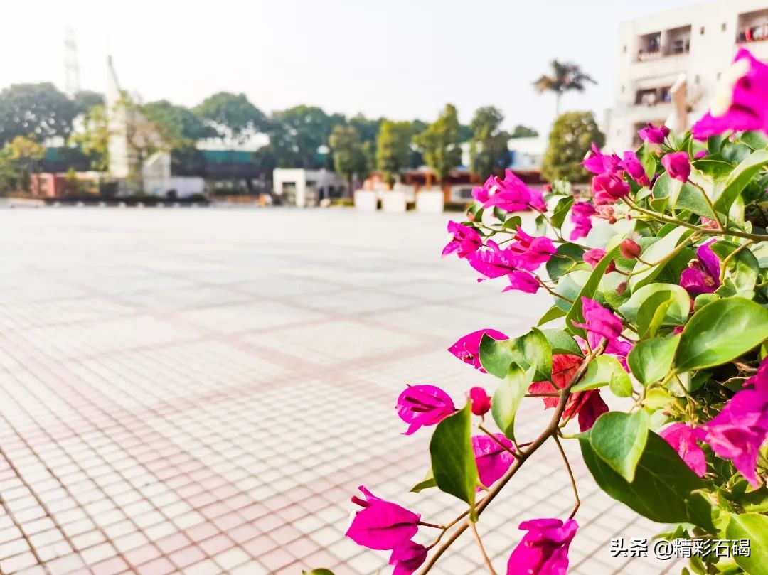 閫夋嫨灏忔槑鏄熸垚灏卞ぇ鏈潵,閫夋嫨鑲叉墠鎴愬氨缇庡ソ鏈潵