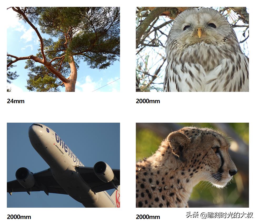 2023年双十一相机全画幅推荐,2022年6月哪款相机最值得入手