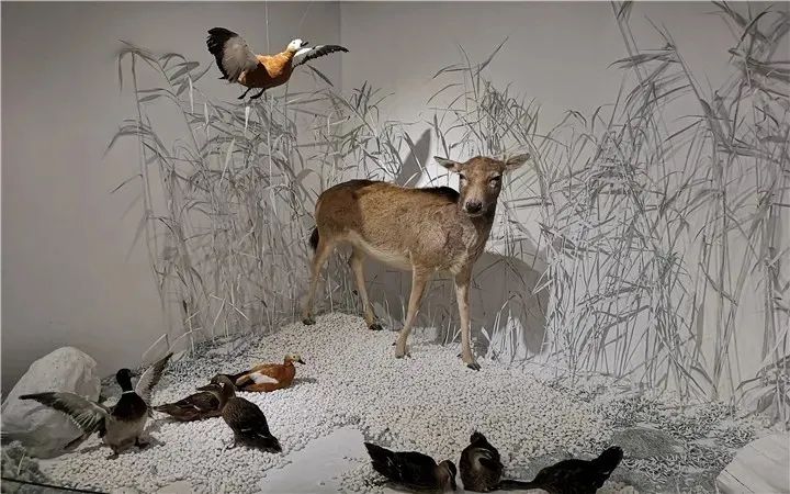 北京植物园的赏花的最好时节,西山秘境惊艳北京的植物