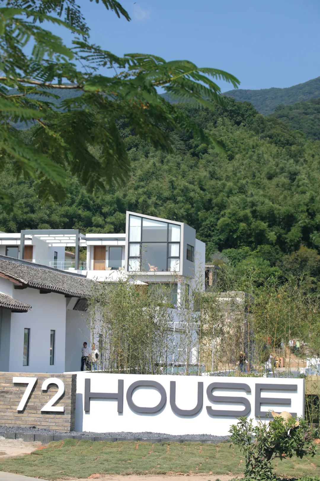 藏在广州竹林山野间的网红民宿,增城宛若故里稻田民宿