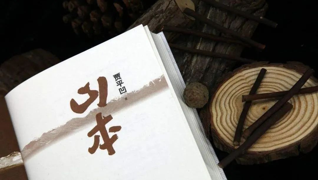 平凹先生与他的《山本》