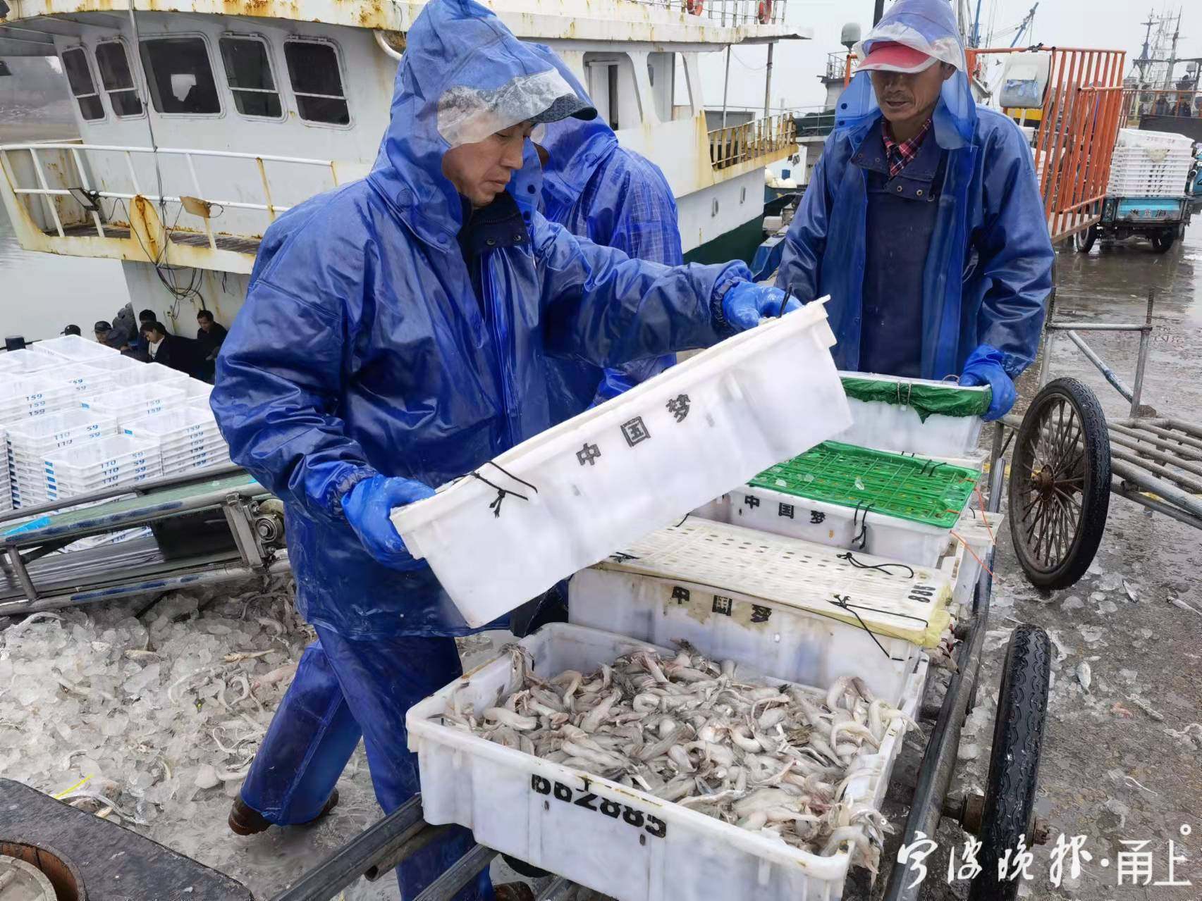 浙江宁波海鲜特色,浙江宁波海鲜打卡地