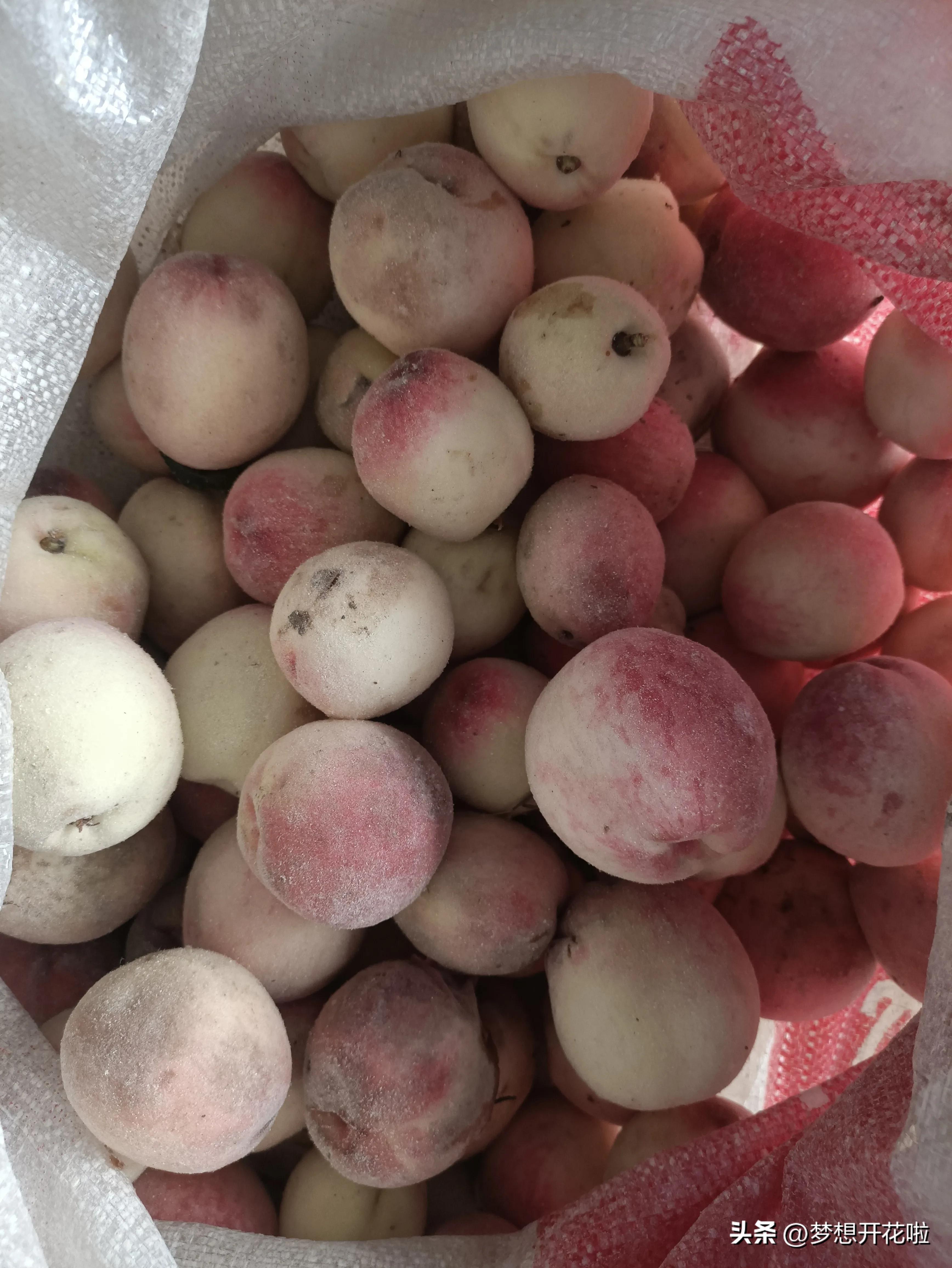 谁言寸草心报得三春晖表达的情感,谁言寸草心报得三春晖