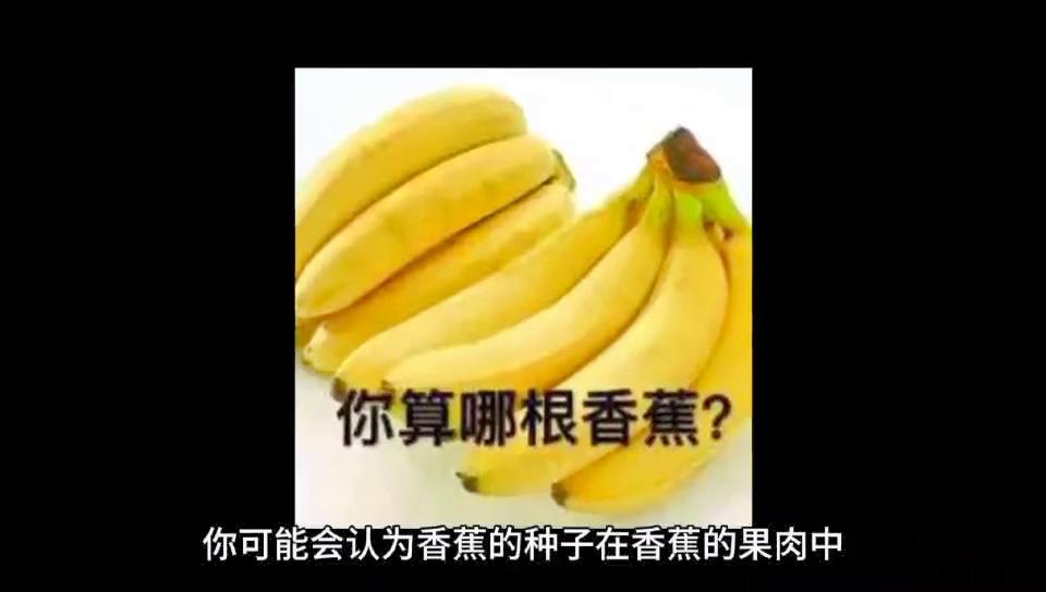 dou知识,都是知识表情包