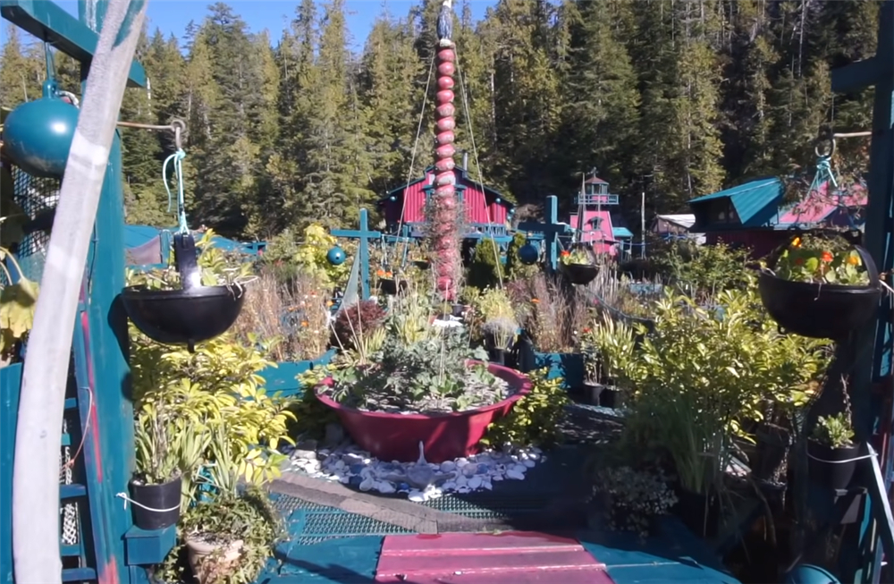 夫妻二人买下海岛过起隐居的生活,夫妻隐居小岛与世隔绝