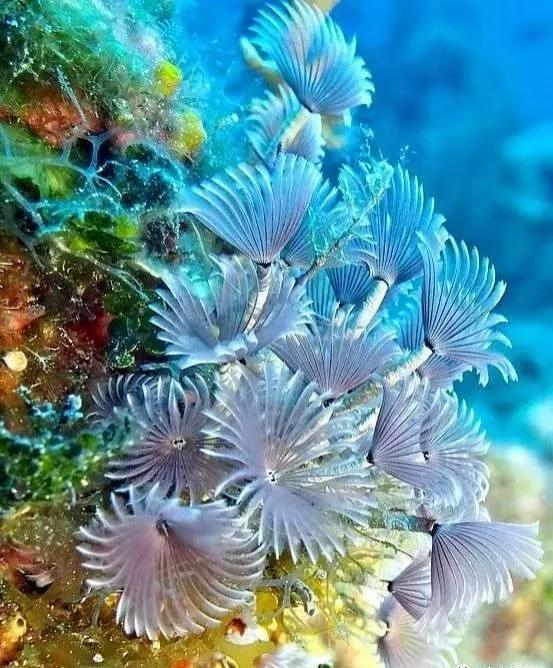 100个大自然奇观图片,世界50大自然奇观排名