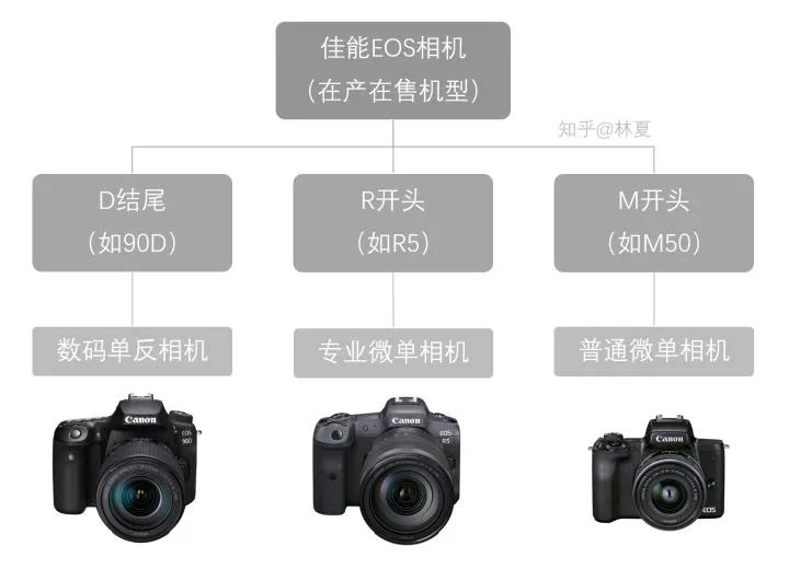 从型号了解一台相机,佳能新相机2022