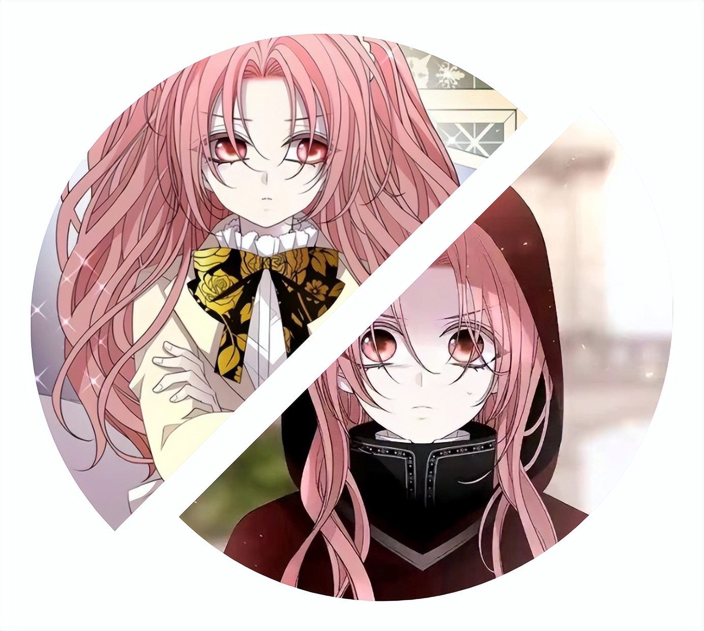 夏洛特与五门徒免费,夏洛特和五门徒大合集