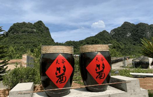 广州出发-罗定+阳春3天游,赏马兰十里画廊风光,船游桃源三洞天