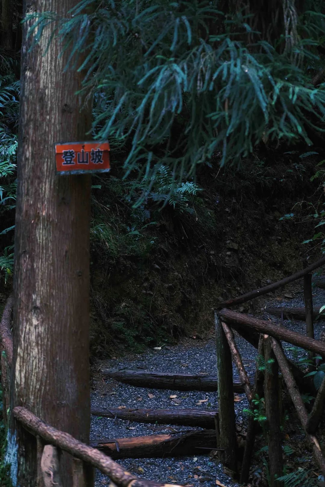 褰窞鐧介箍灏忛晣闇嶆牸娌冭尐,褰窞闇嶆牸娌冭尐