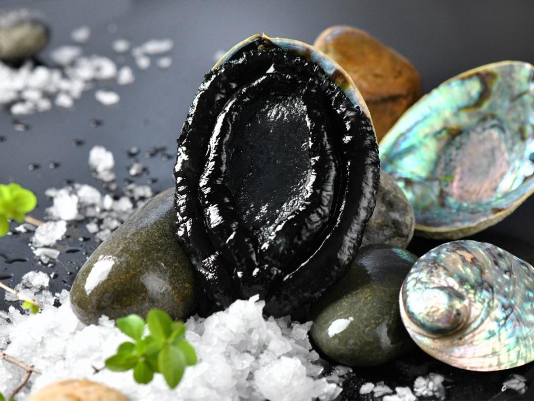 新西兰海鲜一览表,世界海鲜图片